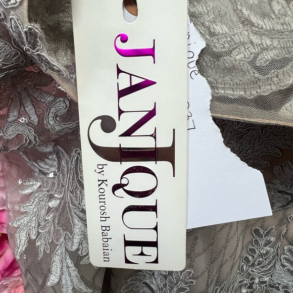 NWT Janique 1937 size 18 silver/nude long sleeve lace long dress - Picture 6 of 6